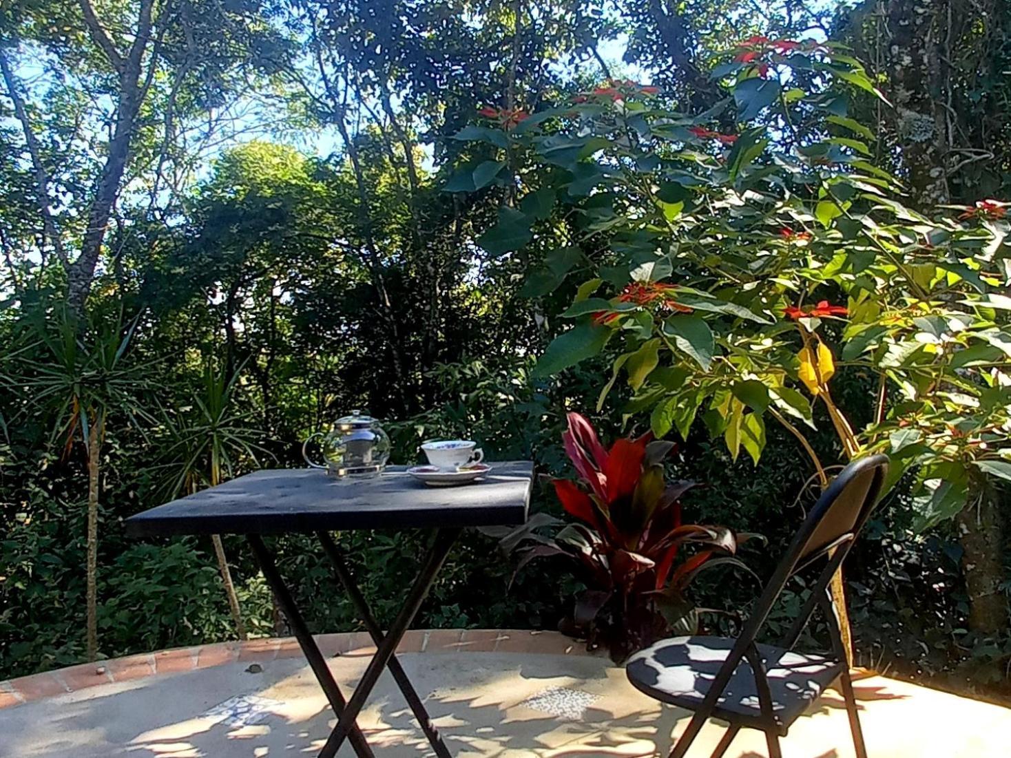 Casinha Acolhedora Da Mata - Rota Do Vinho Sao Roque (Sao Paulo)