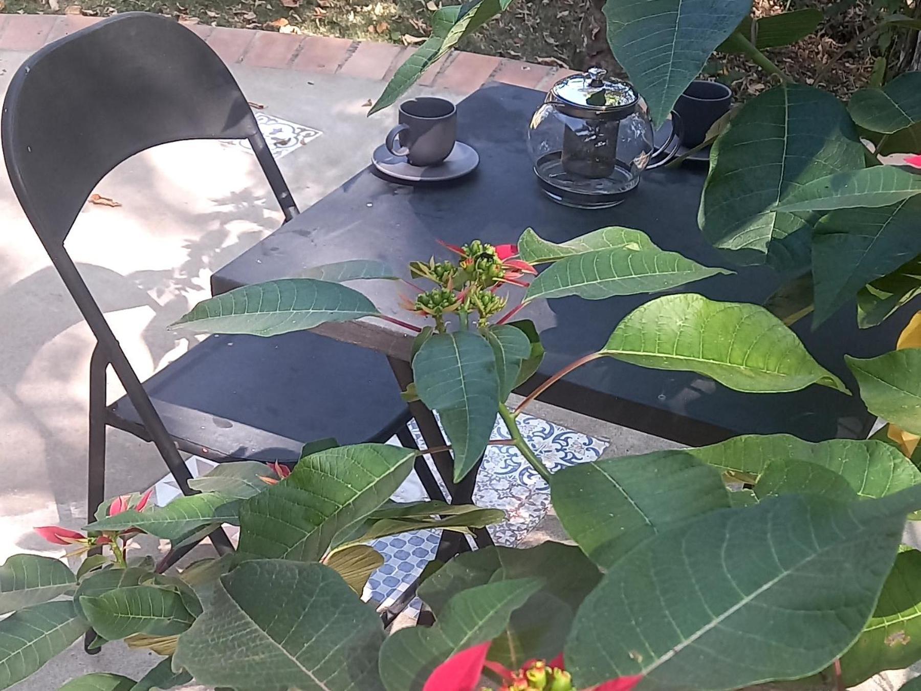 Сasa de vacaciones Casinha Acolhedora Da Mata - Rota Do Vinho